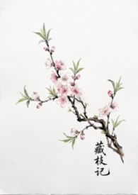 藏枝记（1v1骨科）